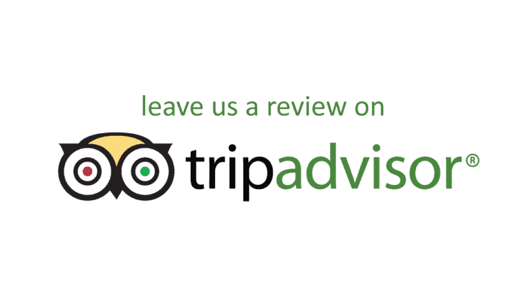 How to leave a review on TripAdvisor
